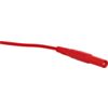 Shrouded Banana Leads (SKU: P0414 Image 4)