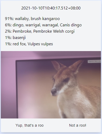 UI Test This image shows an the UI being tested