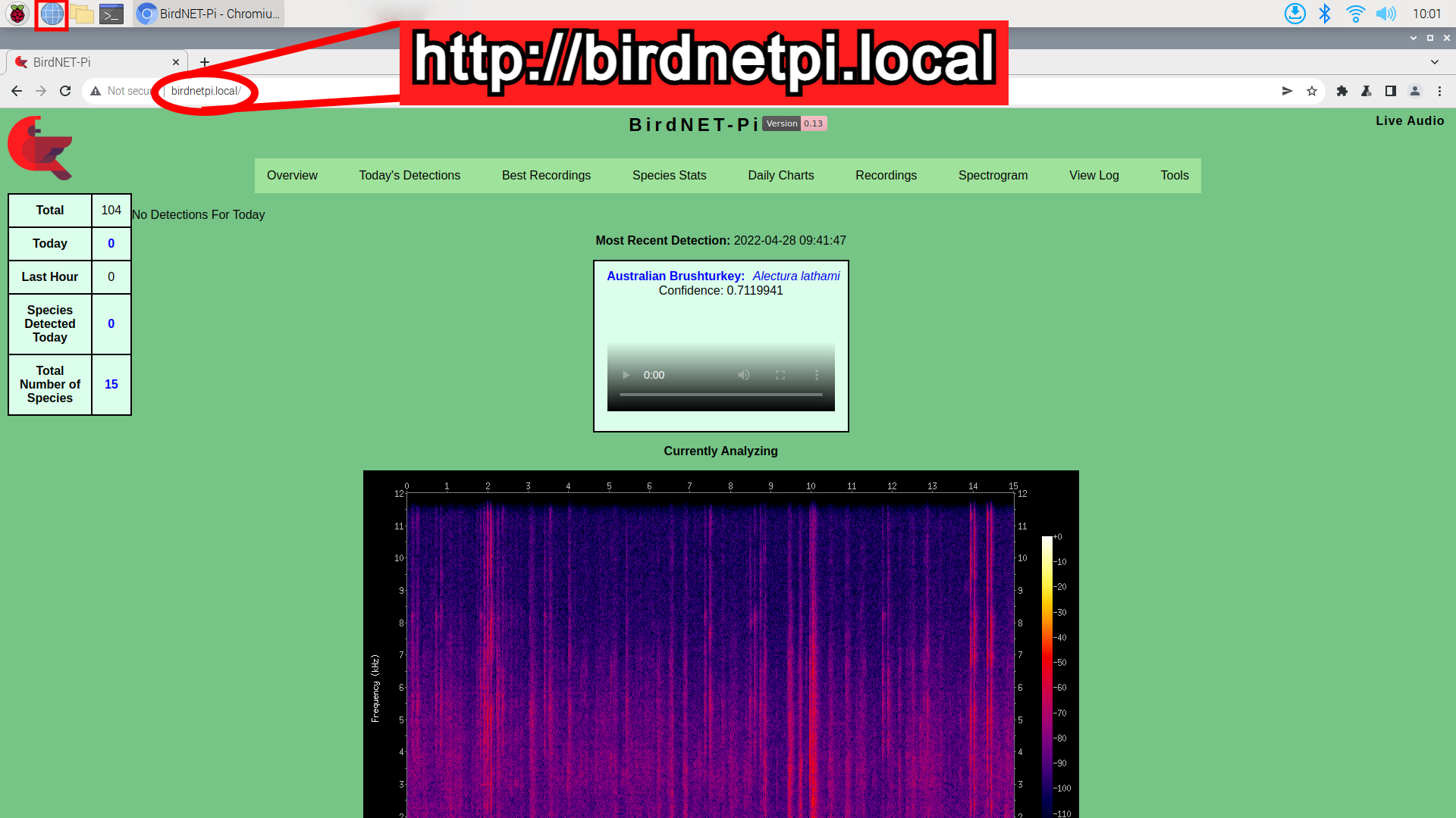 Identify Birds through Sound with a Raspberry Pi | BirdNET-Pi Project ...