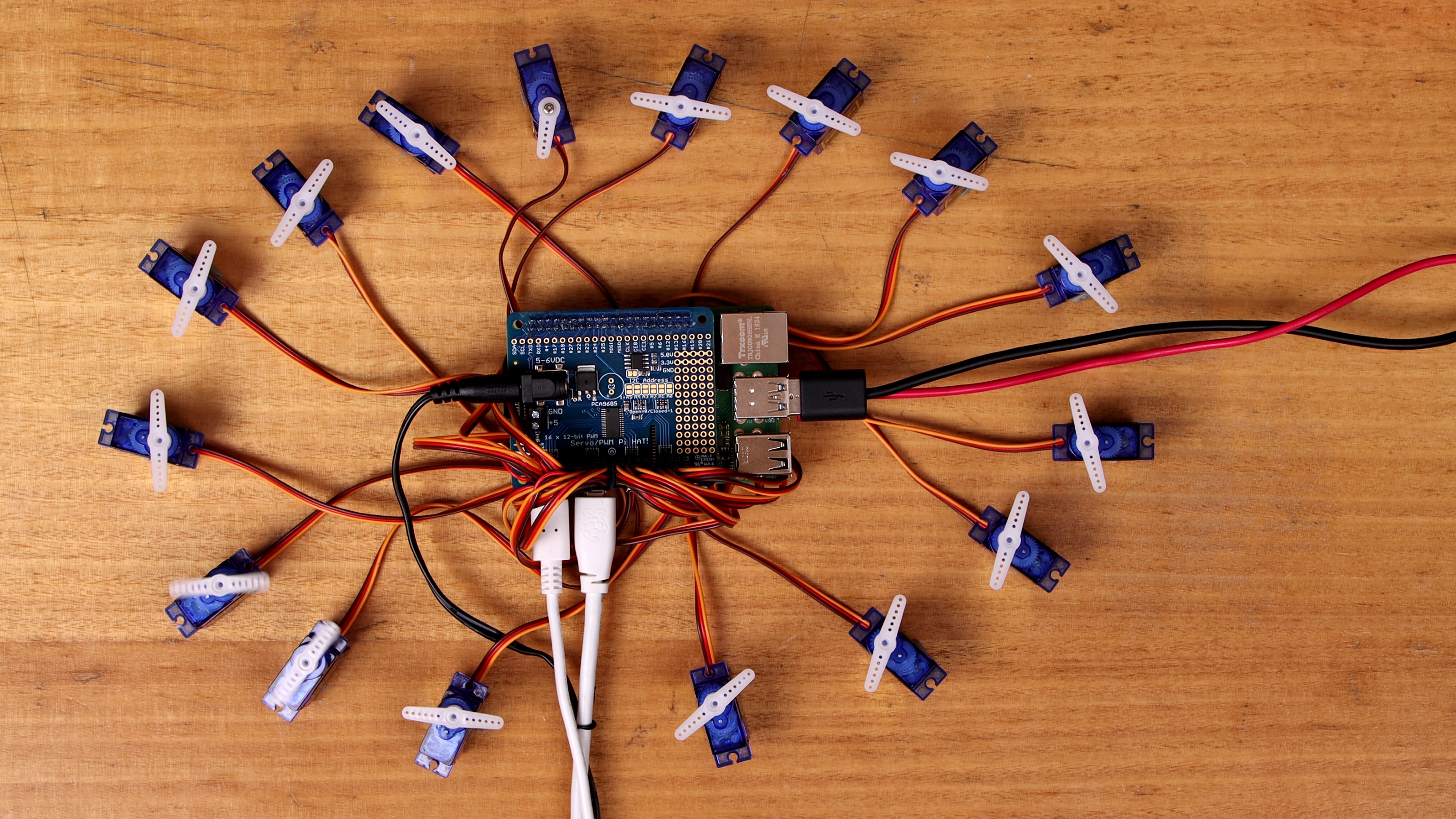 All the Servos all the time! All the Servos all the time!