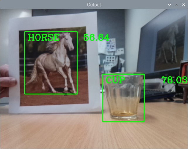Object and Animal Recognition With Raspberry Pi and OpenCV - Tutorial  Australia