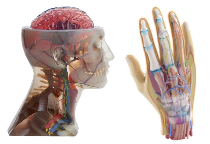 PolyPrints are out of this world! PolyPrints are out of this world!